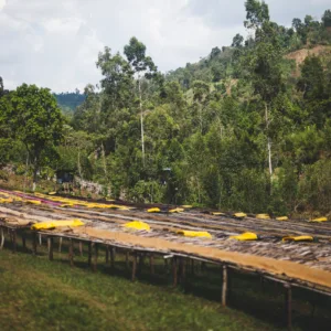 ETHIOPIA-CHIRE NATURAL